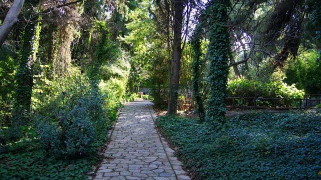 Greek Hospitality 2 Leilighet Athen Eksteriør bilde